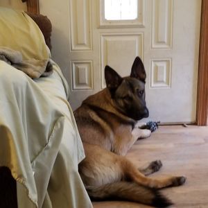 Meet your Posher, Wesley